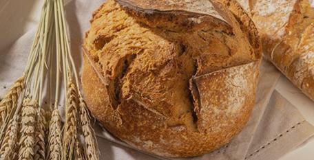 ホームベーカリー | キッチン用品専門ストア Kitchen Suggest