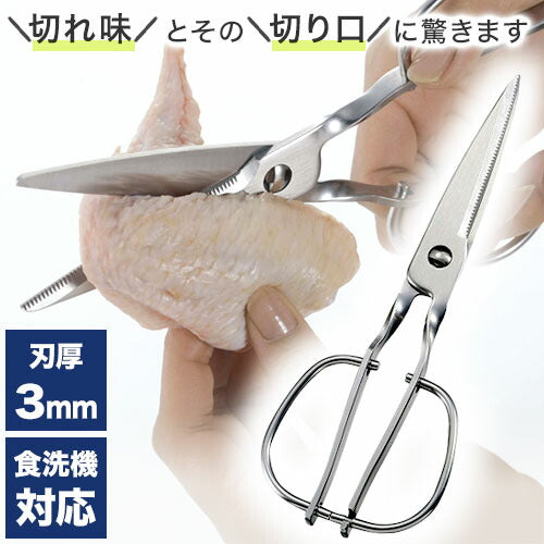 鳥部製作所 キッチンスパッター KS-203 日本製 オールステンレス キッチンバサミ キッチンハサミ 料理ハサミ 食洗機対応 燕三条(代引不可)【メール便】