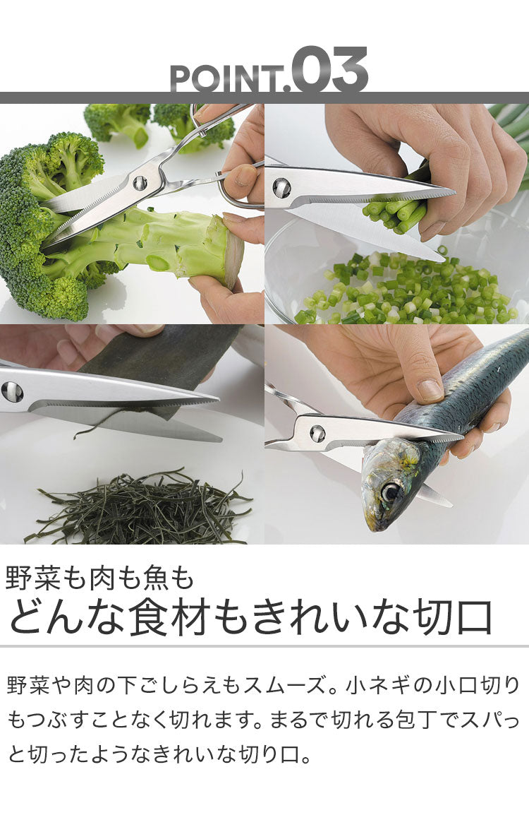 鳥部製作所 キッチンスパッター KS-203 日本製 オールステンレス キッチンバサミ キッチンハサミ 料理ハサミ 食洗機対応 燕三条(代引不可)【メール便】