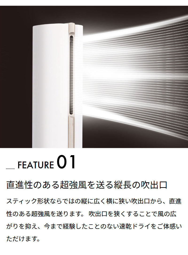 スティックドライヤーBISARA STICK(ビサラ スティック) BSR004WH/BK 強風 速乾 静音 イオン 温度調節 風量調節 コンパクト 縦長 美髪