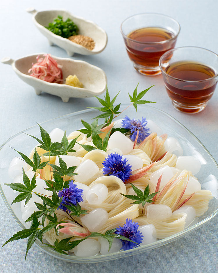 高速製氷機 家庭用 氷 自動製氷機 アイスメーカー 大人数 大容量 アウトドア パーティ お酒 晩酌 自動停止 バーベキュー 釣り 氷 製氷機 簡単操作 氷作り 製氷 高速製氷機 ベルソス VS-ICE012