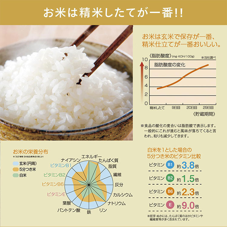 精米機 家庭用 4合 軽量コンパクト MR-E520W ホワイト コンパクト精米器精米御膳 米 精米 お米 精米器 家庭用精米機 精米機家庭用 白米磨き 胚芽米 ツインバード TWINBIRD