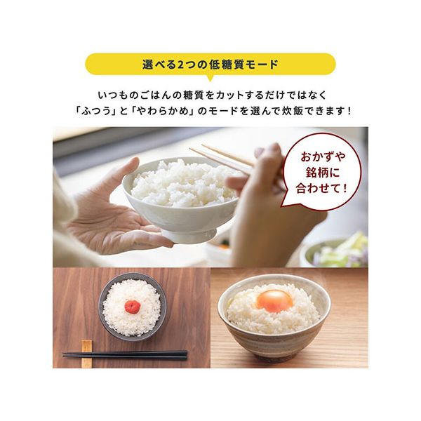 SOUYI JAPAN 糖質カット炊飯器 かんたん糖質制限 通常の炊飯釜と糖質カット釜の2種付属 チャコールグレー SY-138-CG