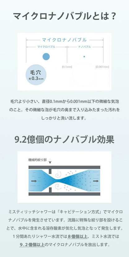 シャワーヘッド ナノバブル ミスティリッチシャワー SH220-2T グレー 美肌 水生活製作所 シャワー 節水 保湿 洗浄 ストップボタン付 ミストップリッチシャワー ギフト プレゼント
