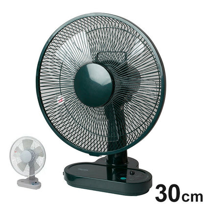 TEKNOS テクノス DC卓上扇風機 30cm フルリモコン 卓上扇風機 DCモーター リモコン付き 30cm羽根 扇風機 DCモーター扇風機 小型扇風機 ホワイト グリーン