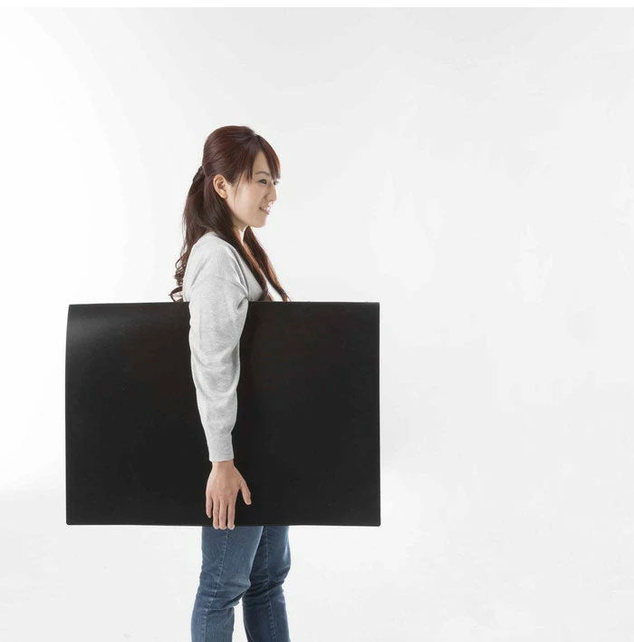 B2 ポスターファイル 24枚収納 12ポケット 保存 保管 アニメ 映画 得点 コレクション ファイリング ポスター ファイル ブラック 資料 大きいファイル 作品 VS-Z01BK ベルソス