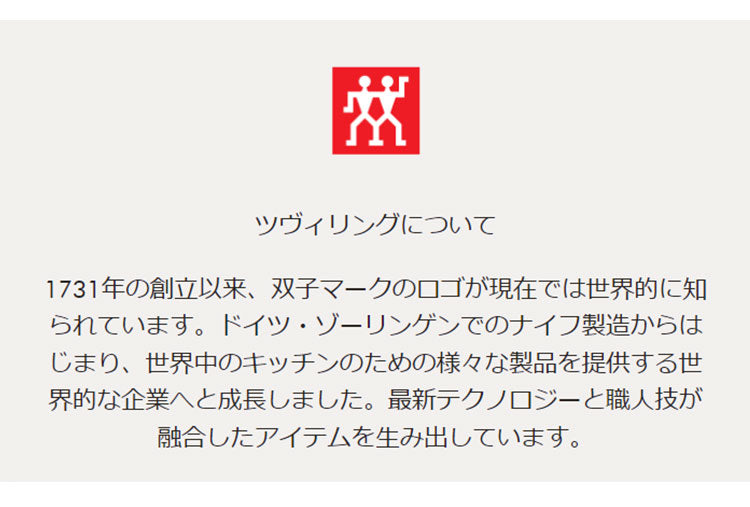 ツヴィリング エンフィニジー ミルクフォーマー 電動 クリーマー ミルクフォーサー 泡立て器 静音 シルバー ブラック おしゃれ ZWILLING Enfinigy 日本正規品 53104-300 53104-301(代引不可)