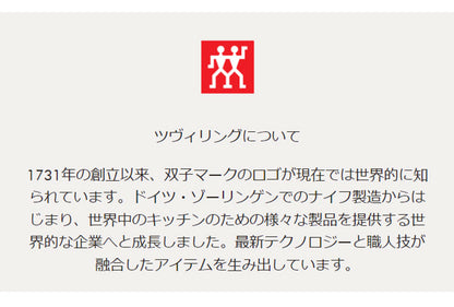 ツヴィリング エンフィニジー ミルクフォーマー 電動 クリーマー ミルクフォーサー 泡立て器 静音 シルバー ブラック おしゃれ ZWILLING Enfinigy 日本正規品 53104-300 53104-301(代引不可)